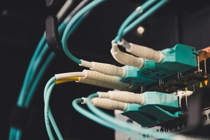 Fiber Optic Cables in a Network Switch