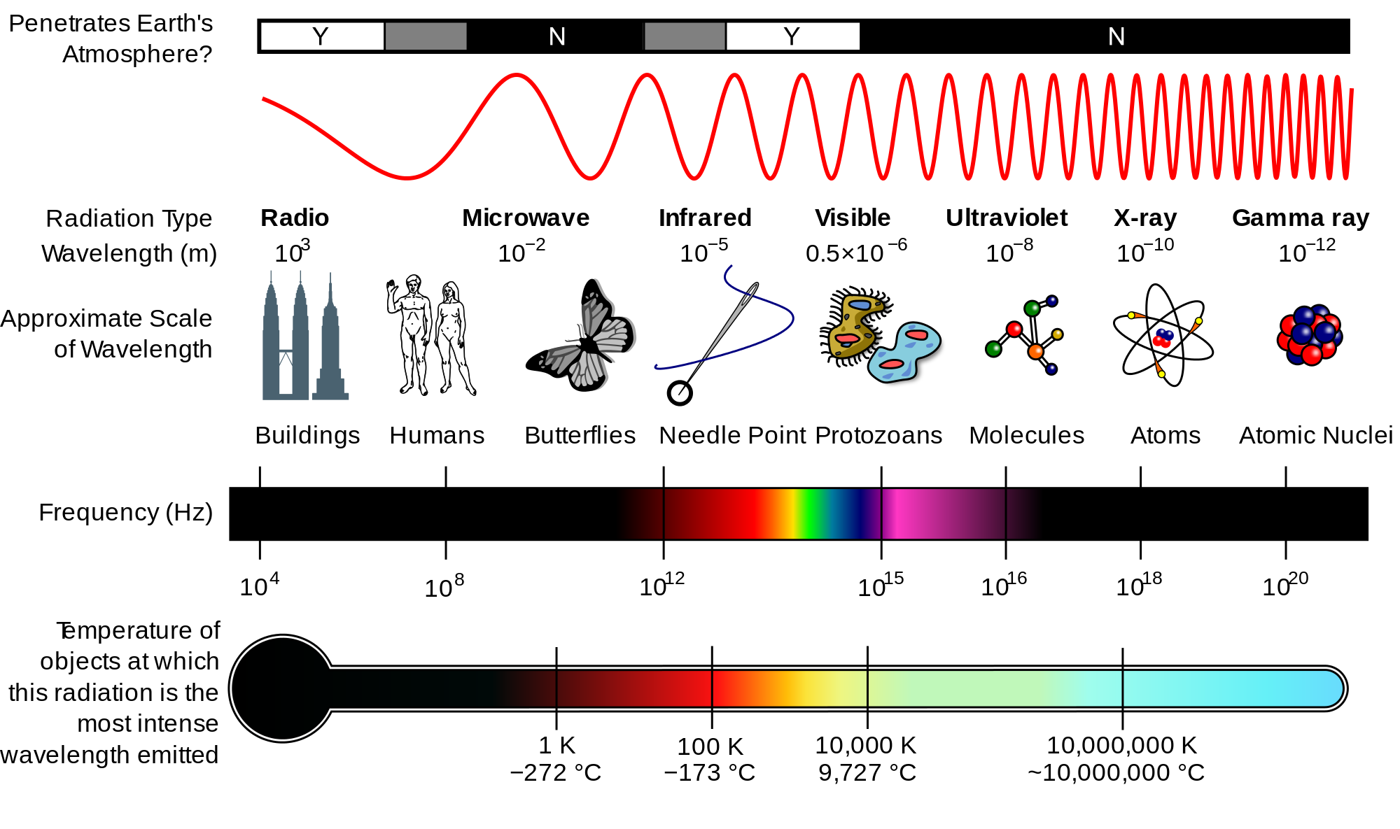 The electromagnetic spectrum.