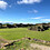 Andrew_Murillo Andrew_Murillo
